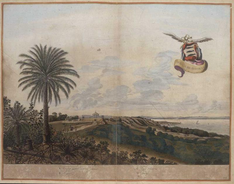 Ilustração de cordel com paisagem de palmeira e vista do mar