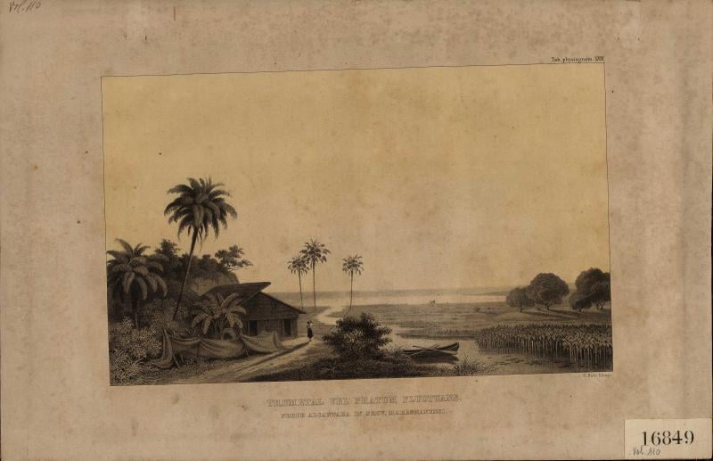 Paisagem de Praia com Casa e Barcos em Cenário Tropical, from the Cordel collection