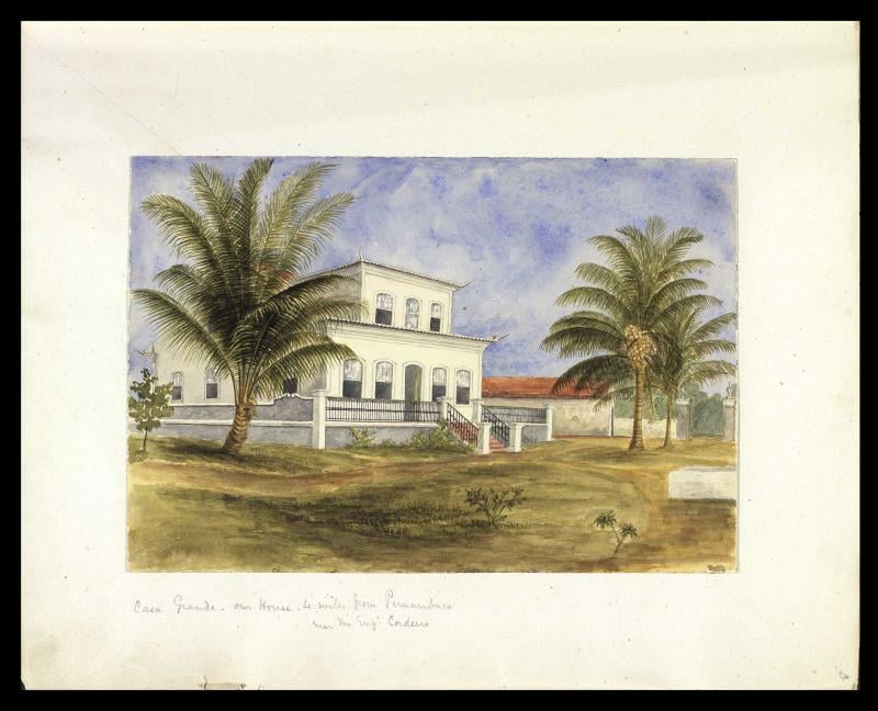 Casa Grande em Paisagem Tropical com Palmeiras no Cordel