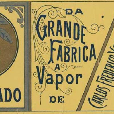 Rótulo de doce cristalizado M.B. Pesqueira com ilustração de peixe, from the Packaging collection
