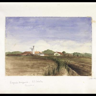 Paisagem rural com plantações e edifícios em fundo natural, from the Engraving collection