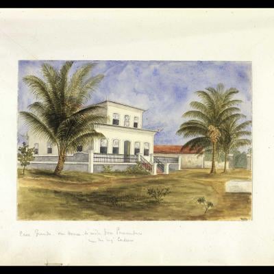 Casa histórica com palmeiras em paisagem tropical, from the Engraving collection